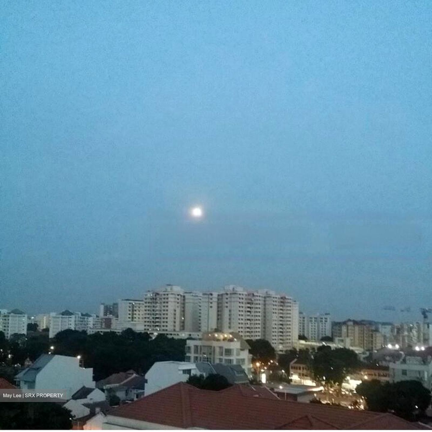 Fiorenza (D19), Apartment #466686451